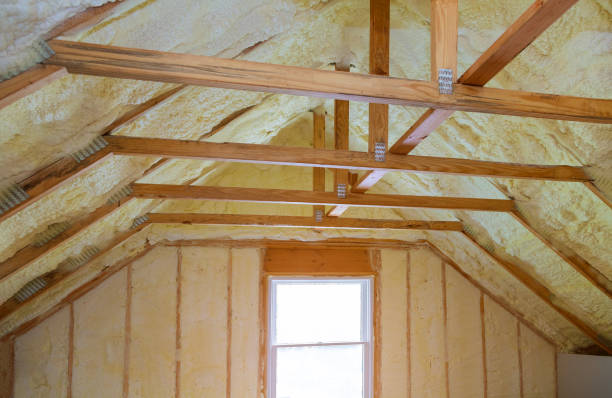 Best Geographic-Specific Insulation Services in Judsonia, AR