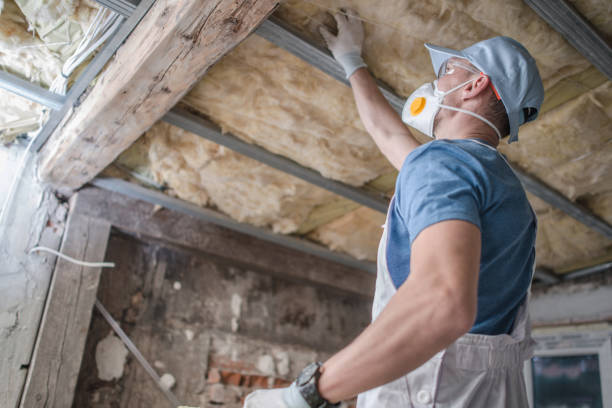 Best Insulation for Specific Applications in Judsonia, AR