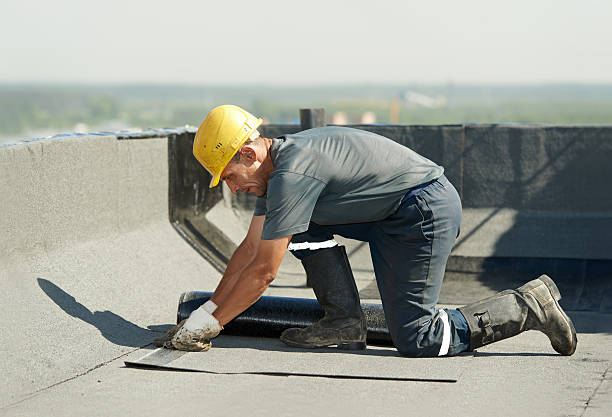 Best Commercial Insulation in Judsonia, AR