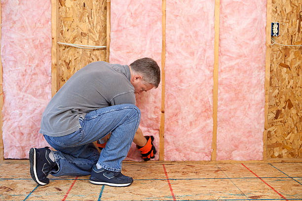 Best Spray Foam Insulation in Judsonia, AR